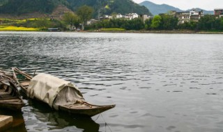 溪兴原文翻译 浣溪沙原文译文