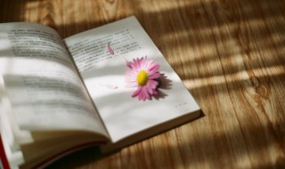 木兰花乙卯吴兴寒食原文翻译 木兰花乙卯吴兴寒食张先翻译