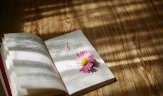 亻怎么读 仲怎么读音