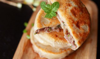 肉夹馍馍饼的做法（肉夹馍馍饼的做法和配方）