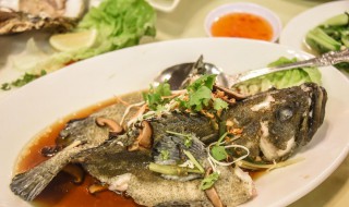 清蒸老虎斑的做法 清蒸老虎斑的做法 最正宗的做法