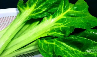 牛皮菜的家常做法大全 牛皮菜的家常做法大全图解