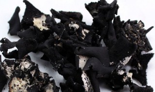 炒石耳的做法（石耳炒什么一起吃）