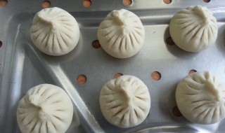 角瓜猪肉包子的做法 角瓜猪肉包子的做法视频