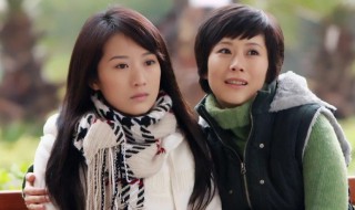 电视剧蜗居剧情介绍 电视剧蜗居剧情介绍大结局