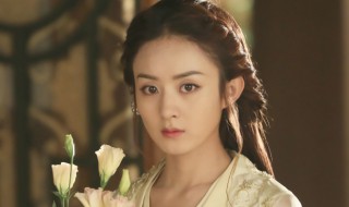 楚乔传电视剧介绍(楚乔传电视剧简介)