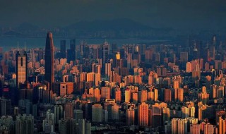 大湾区什么梗 坐稳大湾区什么梗