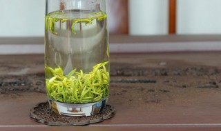 采花毛尖功效与作用（采花毛尖功效与作用是什么）