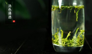 永川秀芽功效（永川秀芽产地）