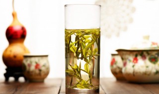 广东大叶青怎么泡（广东大青叶图片）