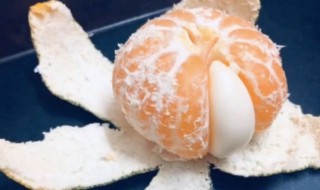 橘外人什么梗（橘内人橘外人）