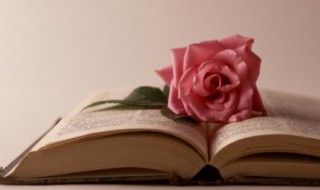 关于廉洁的完整古诗 关于廉洁的完整古诗四句七言