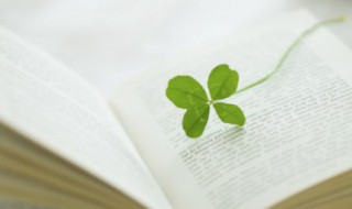 关于祖国的诗句古诗 关于祖国的诗句古诗简单