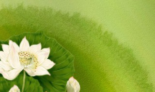 关于骨气的名言 关于骨气的名言警句