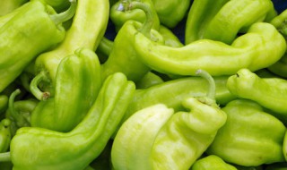 怎么泡辣椒（怎么泡辣椒又脆也不烂）