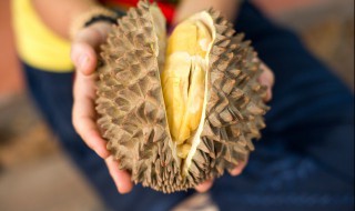 榴莲英语怎么说 榴莲英语怎么说读发音