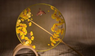 团扇的制作方法 中秋团扇的制作方法