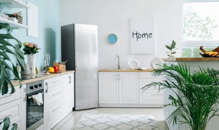 冰箱怎么买 星露谷冰箱怎么买