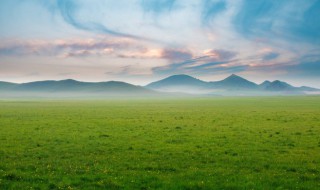 绿组词颜色（绿组词颜色100）