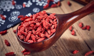 枸杞子怎么泡（枸杞茶怎么泡）