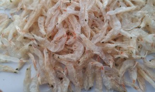 干虾皮怎么保存方法 干虾皮怎么保存方法新鲜