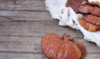 灵芝怎么泡酒 灵芝泡酒的最佳配方