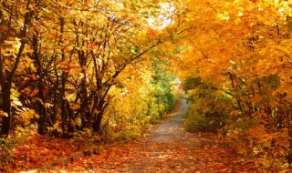 关于秋天的名言名句 关于秋天的名言名句翻译成英语