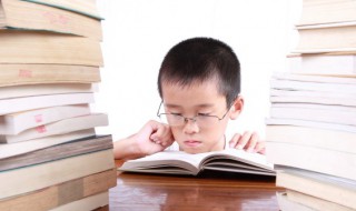 丈的组词（丈的组词是什么）