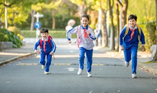 关于体育精神的作文 关于体育精神的作文800字