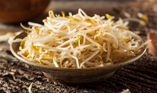 怎么泡豆芽菜 怎么泡豆芽