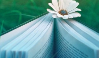 关于秋收的诗句（关于秋收的诗句和名言十首）