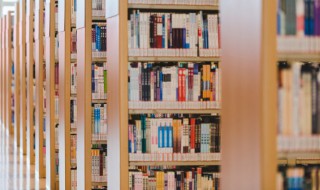 关于秋雨的诗（关于秋雨的诗句唯美句子）