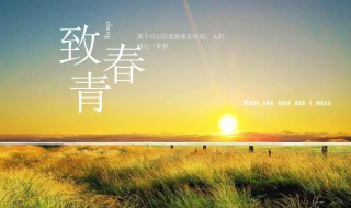 关于青春的诗歌朗诵（关于青春的诗歌朗诵4分钟）