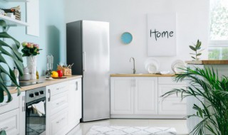 冰箱不制冷怎么修（冰箱不制冷怎么修理视频）