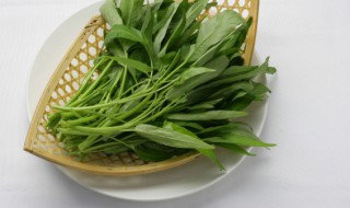 水培空心菜的方法（空心菜 水培法）