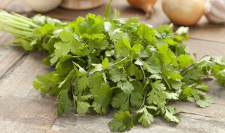 香菜祛斑的方法 香菜祛斑的方法介绍