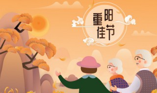 关于重阳的诗（重阳节为主题的诗词）