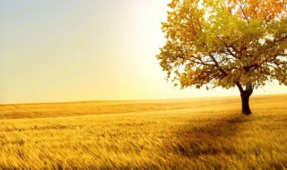 关于秋天的名言 关于秋天的名言名句短句