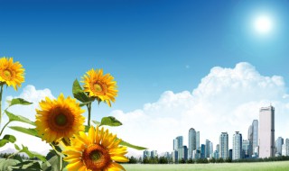 关于观察的名言警句（关于观察的名言警句中国人写的）