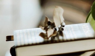 关于祖国的小诗 关于祖国的小诗歌