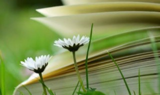 关于青春的简短小诗（关于青春的简短小诗自创）