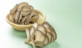 蘑菇采用什么方法保存（蘑菇的保存方法是什么）