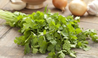 冬天保存香菜的方法 冬天香菜怎么保存