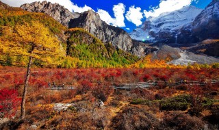 早晨励志短句正能量（早晨励志语录正能量短句）