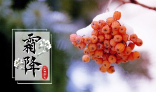 霜降文案 霜降文案短句