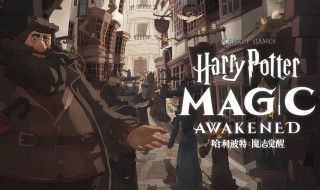 哈利波特魔法觉醒小号有什么用 哈利波特魔法觉醒怎么出号
