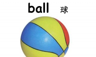 球的英语怎么写（打网球的英语怎么写）