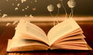 温雅含蓄的女孩名字（温雅的男孩名字）