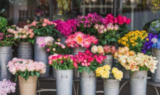 十大浪漫花语 十大浪漫花语和寓意