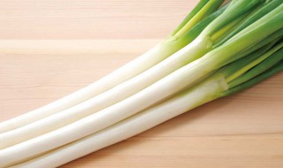 大葱怎样保存时间长 大葱怎样保存时间长住在厂里面吐怎么办